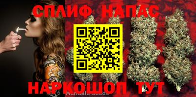 дживик Кинель