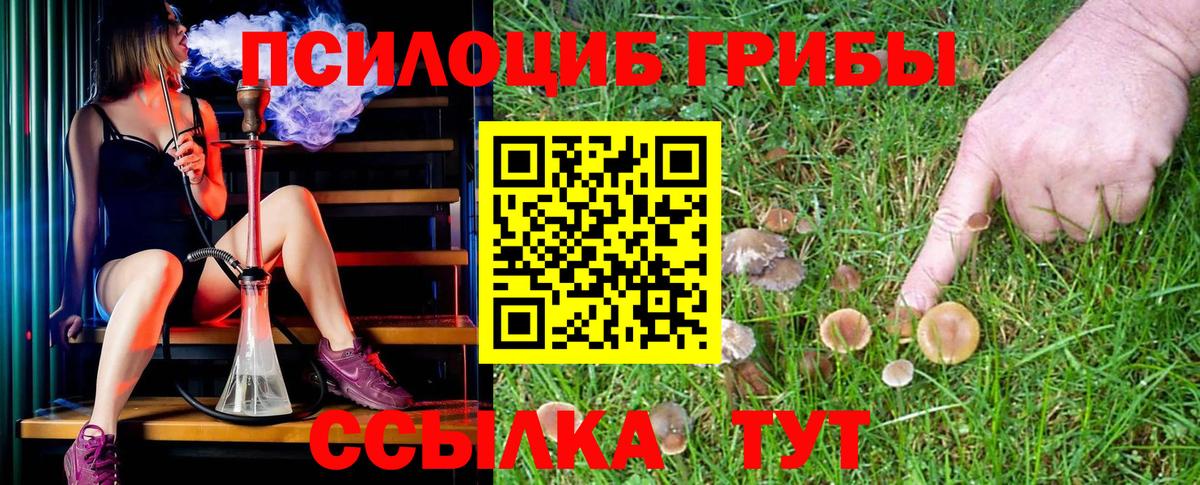 Псилоцибиновые грибы GOLDEN TEACHER Ленинск-Кузнецкий