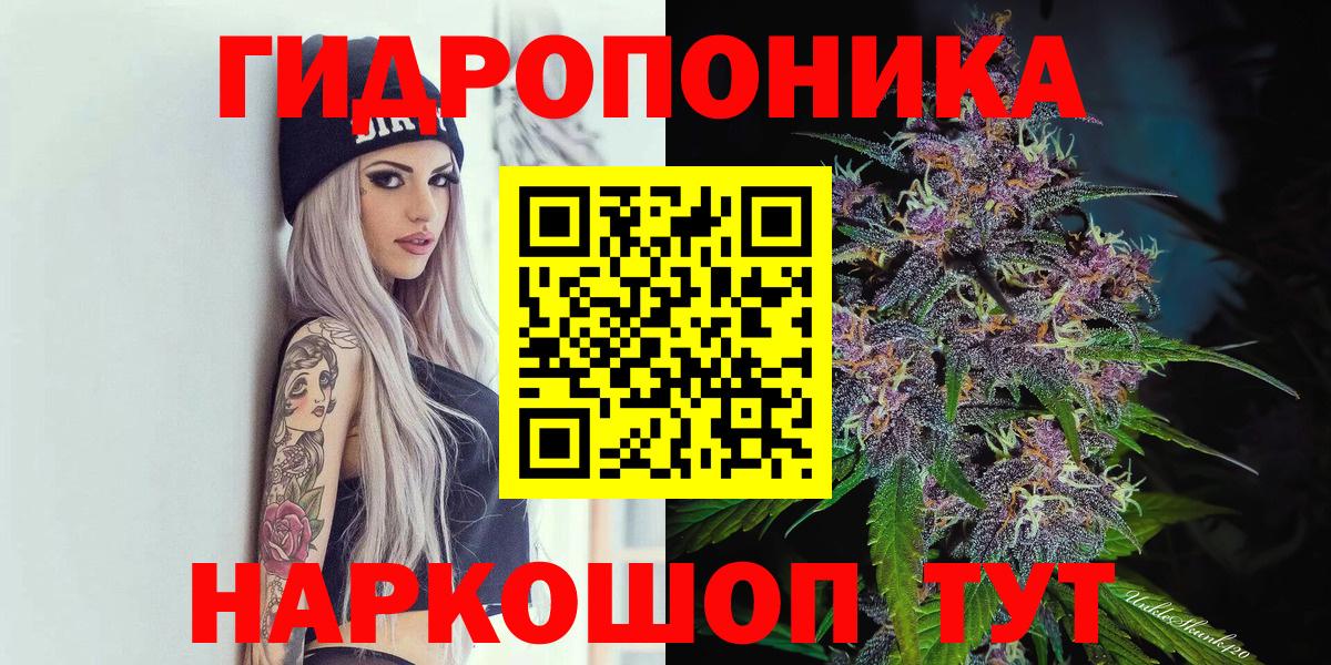 Бошки марихуана Amnesia Ленинск-Кузнецкий